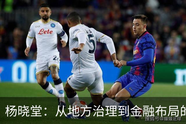 杨晓堂：从地方治理到金融布局的实践者